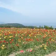 りぃの画像