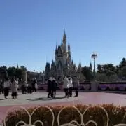 たたたーんの画像