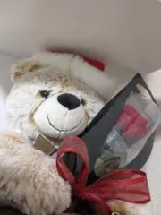 熊野︎❀*.ﾟプロフ必読の画像