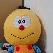 きょろ
