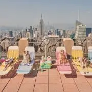Akoの画像