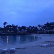 ホーリーの画像