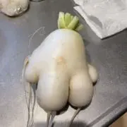 Rの画像
