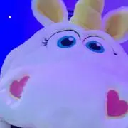ひかる