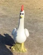 ひよこちゃんの画像