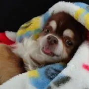 ドラえもん 断捨離中