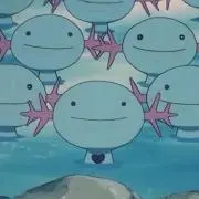 うぱーの画像