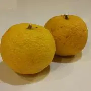 YUZ