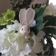 のばら