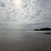 もめん