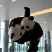 ちちち。の画像