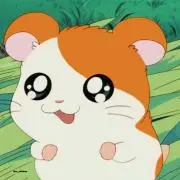 はの画像