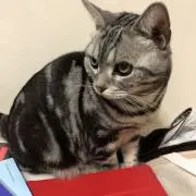 さちこの画像