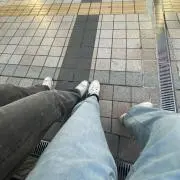 おおい