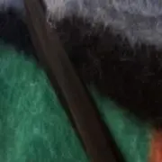 FX3の画像
