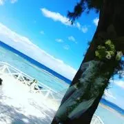 物保良美の画像