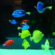 もんちゃん　断捨離中♡