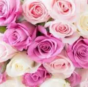 ♡Love♡の画像