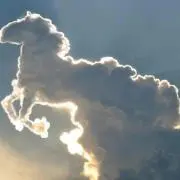 サム