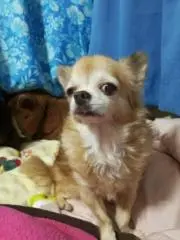 ココ⚠️必ずプロフ&説明を、読んでね♪