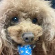 ユッチャ✨