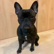 yuiの画像