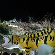 いね☆の画像