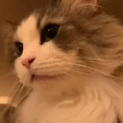 ゆうな（無言取引)の画像