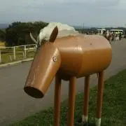わきわきの画像