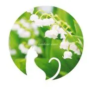 虹いちご☆即購入歓迎の画像