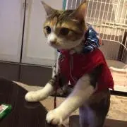 凛子