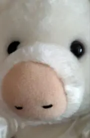 ミッチーの画像