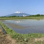 優！即購入◯の画像