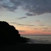 wantaの画像