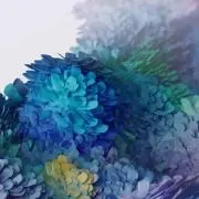 いつさきの画像