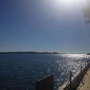 Koh