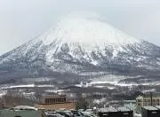 VW【プロフ見てください】の画像