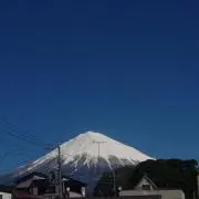 mr.tの画像