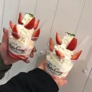 ミントの画像
