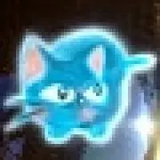 クーの画像