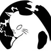 keiの画像