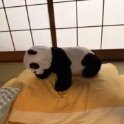 まろろろの画像