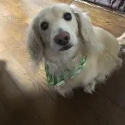 チャマミチ