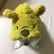 Cha-chan。の画像