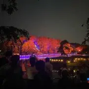 やす兄の画像