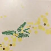 たけの画像