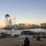 たこの画像