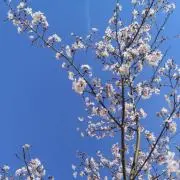 フォロー割100円引き！プロフ見てね♡の画像