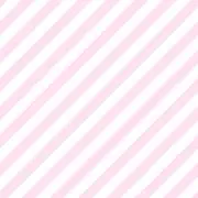 ぬいの画像