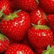 いちごの画像